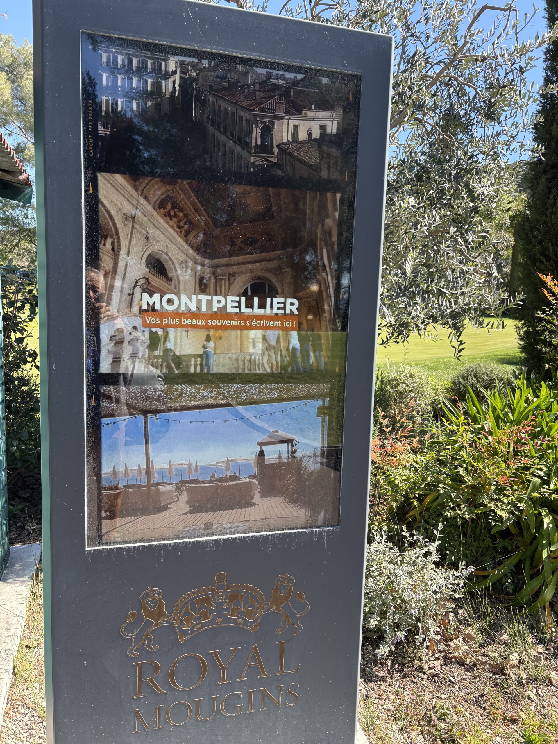 ODT MONTPELLIER / DOOH GOLF